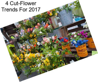 4 Cut-Flower Trends For 2017