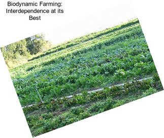 Biodynamic Farming: Interdependence at its Best