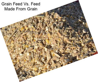 Grain Feed Vs. Feed Made From Grain