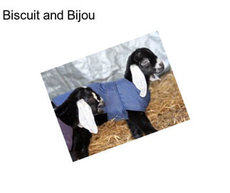 Biscuit and Bijou