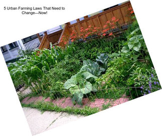 5 Urban Farming Laws That Need to Change—Now!