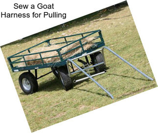 Sew a Goat Harness for Pulling