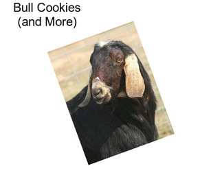 Bull Cookies (and More)
