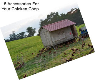 15 Accessories For Your Chicken Coop
