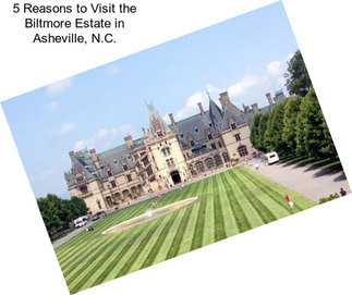 5 Reasons to Visit the Biltmore Estate in Asheville, N.C.