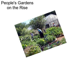 People\'s Gardens on the Rise