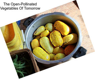 The Open-Pollinated Vegetables Of Tomorrow