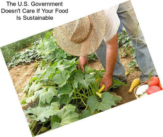 The U.S. Government Doesn\'t Care If Your Food Is Sustainable