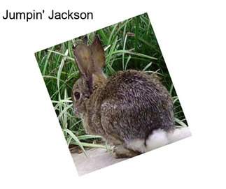 Jumpin\' Jackson