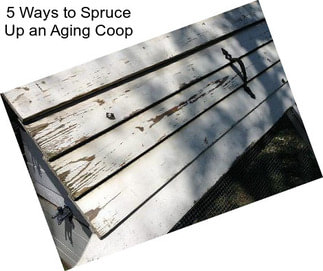 5 Ways to Spruce Up an Aging Coop