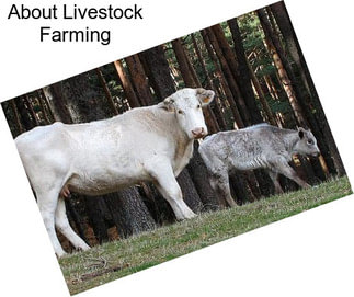 About Livestock Farming