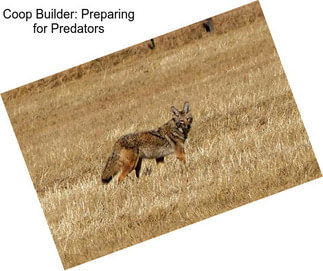 Coop Builder: Preparing for Predators