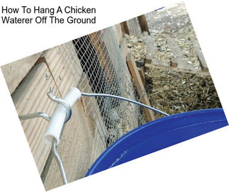 How To Hang A Chicken Waterer Off The Ground