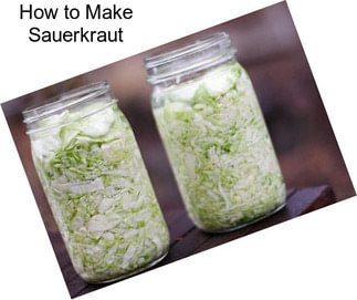 How to Make Sauerkraut