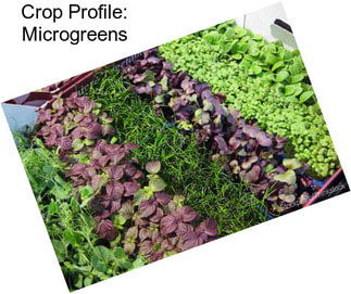 Crop Profile: Microgreens