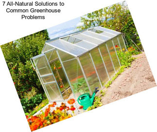 7 All-Natural Solutions to Common Greenhouse Problems