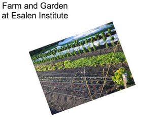 Farm and Garden at Esalen Institute