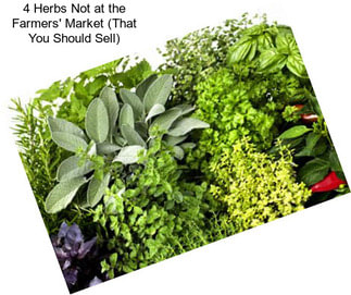 4 Herbs Not at the Farmers\' Market (That You Should Sell)