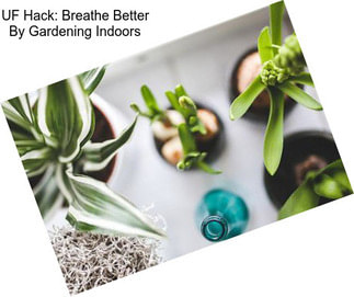 UF Hack: Breathe Better By Gardening Indoors