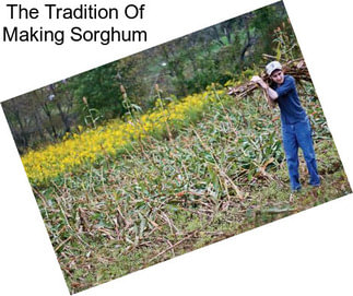 The Tradition Of Making Sorghum