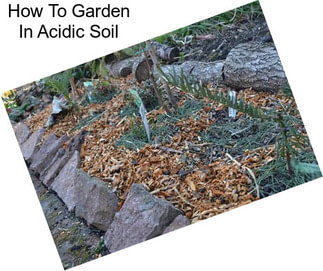 How To Garden In Acidic Soil