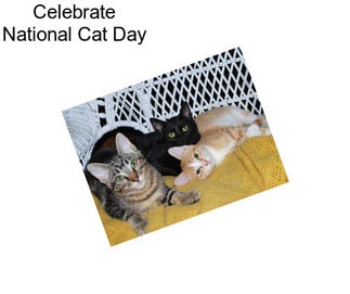 Celebrate National Cat Day