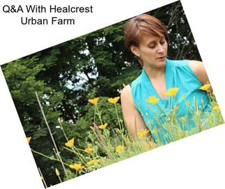 Q&A With Healcrest Urban Farm