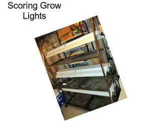 Scoring Grow Lights