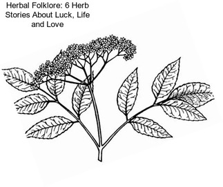 Herbal Folklore: 6 Herb Stories About Luck, Life and Love