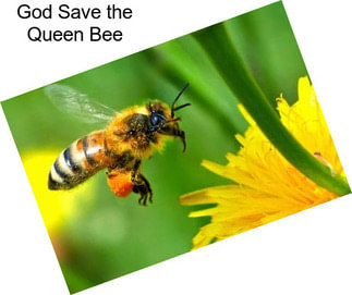 God Save the Queen Bee