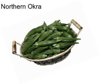 Northern Okra