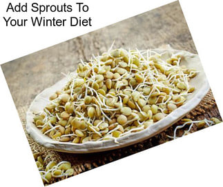 Add Sprouts To Your Winter Diet