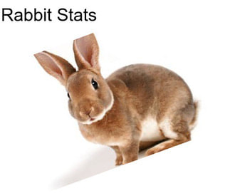 Rabbit Stats