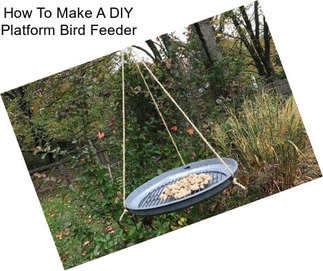 How To Make A DIY Platform Bird Feeder