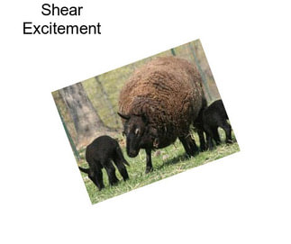 Shear Excitement