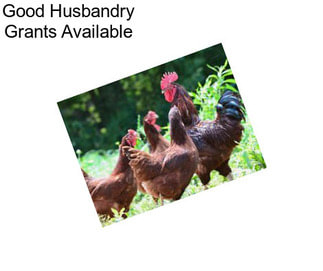 Good Husbandry Grants Available