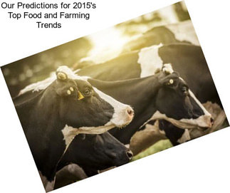 Our Predictions for 2015\'s Top Food and Farming Trends