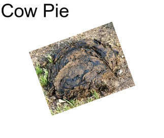 Cow Pie