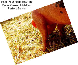 Feed Your Hogs Hay? In Some Cases, It Makes Perfect Sense