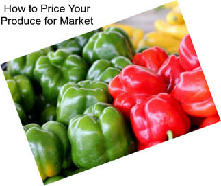 How to Price Your Produce for Market