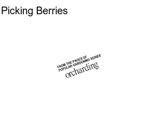 Picking Berries