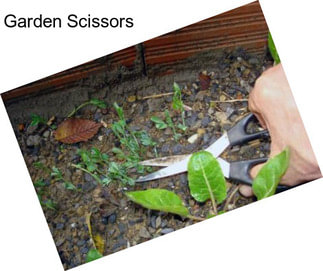 Garden Scissors