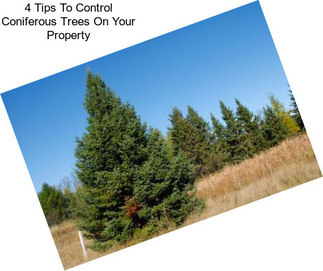 4 Tips To Control Coniferous Trees On Your Property