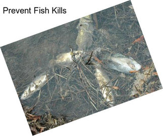 Prevent Fish Kills