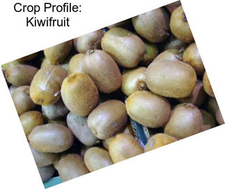 Crop Profile: Kiwifruit