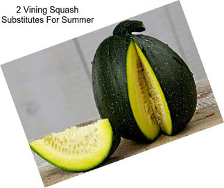 2 Vining Squash Substitutes For Summer