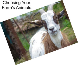 Choosing Your Farm\'s Animals
