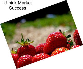 U-pick Market Success