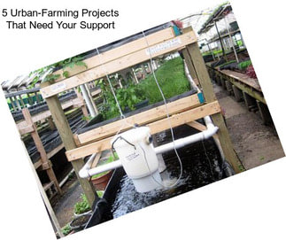 5 Urban-Farming Projects That Need Your Support