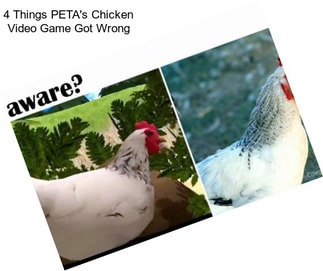 4 Things PETA\'s Chicken Video Game Got Wrong